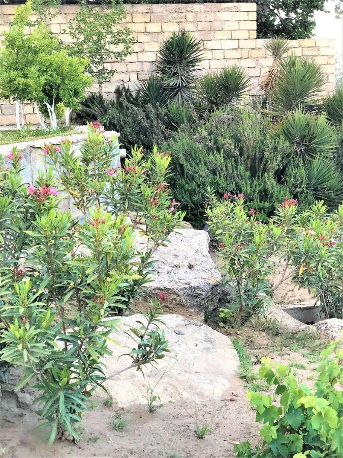 Sea View Villa Bakü Dış mekan fotoğraf